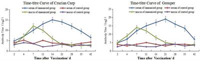 Study on Immune Response of Organs of Epinephelus coioides and Carassius auratus After Immersion Vaccination With Inactivated Vibrio harveyi Vaccine